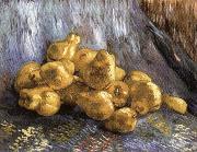 Vincent Van Gogh Still Life with Quinces oil painting on canvas